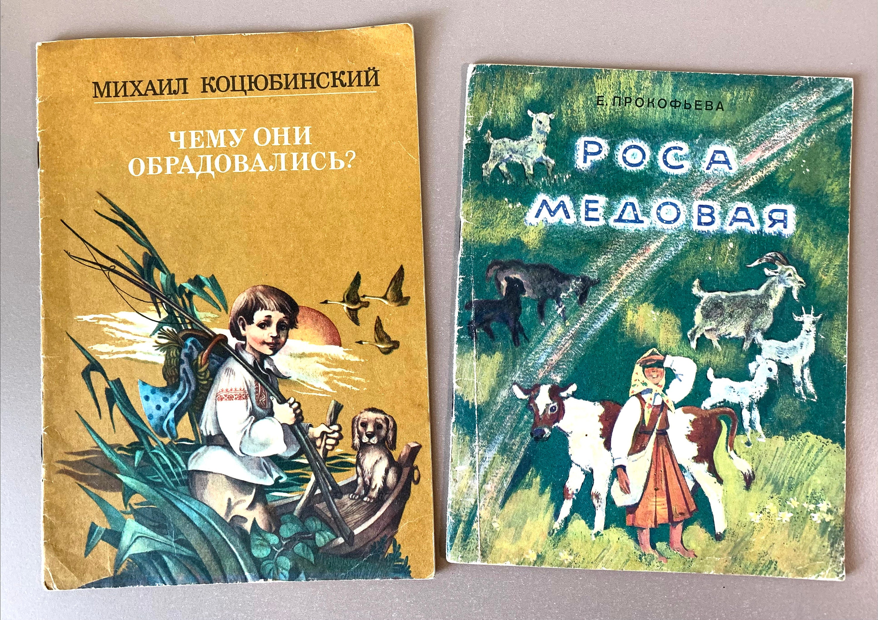 2x Soviet Illustrated Russian Language Fairy Tales Childrens