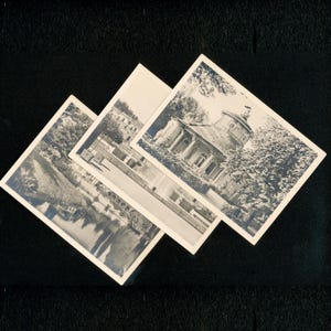 3x cartes postales du parc de Sanssouci Elly Trepte N&B 1955 Potsdam Neues Palais cartes de touristes historiques non postées