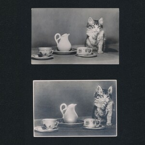 Par de lindos gatos vintage con café en blanco y negro Postales fotográficas reales de V Erofeeva Unión Soviética URSS Regalo amante de los gatos Postal de los años 50 con poema