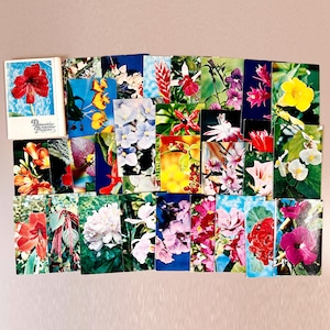 Декоративные комнатные растения 1974 Set di cartoline decorative per piante da interno URSS Arte, Ephemera, Scrapbooking, Dipinti