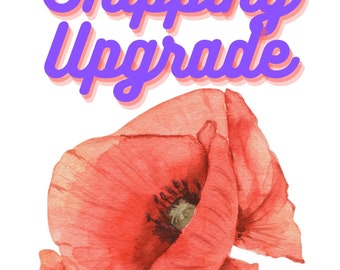 Upgrade spedizione espressa