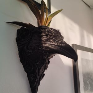 May include: A black raven head-shaped wall planter with detailed, decorative carvings. The planter contains a small plant with green and brown leaves. The raven head is mounted on a white wall, with framed art in the background.