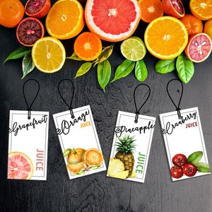 Custom Juice Bar Labels | Fruit Mimosa Party Juice Tags | Instant Download | Printable Juice Bar Juice Tags | Pineapple, Orange Juice Tags
