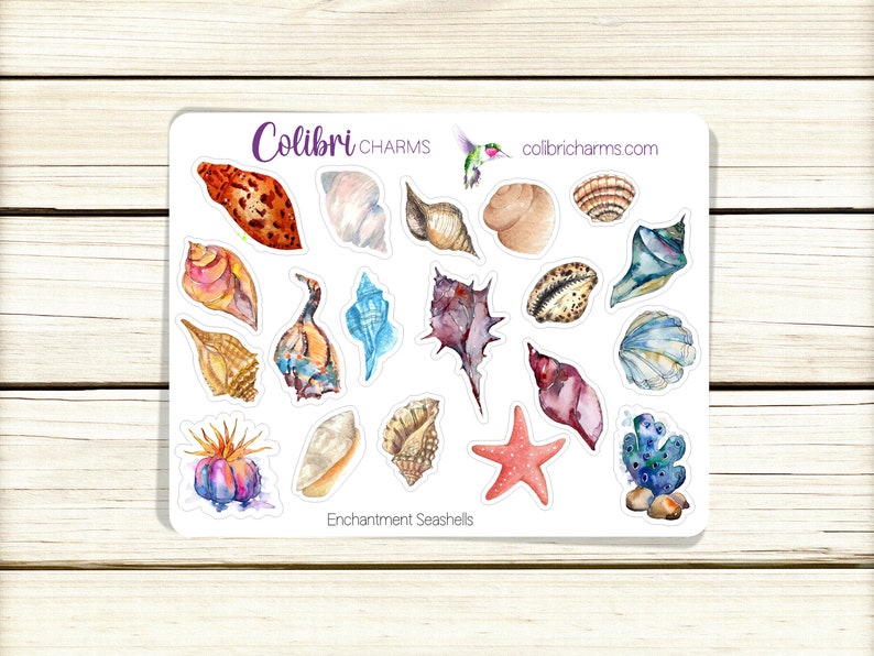 May include: A sheet of stickers featuring watercolor illustrations of seashells, starfish, and coral. The stickers are white with a purple border and the text "Colibri CHARMS" and "Enchantment Seashells".