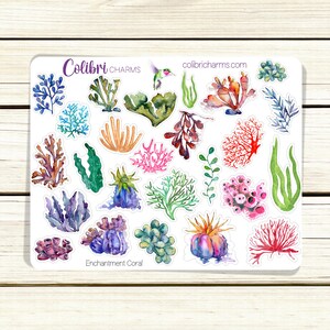 May include: A sheet of stickers featuring watercolor illustrations of various types of coral and seaweed. The stickers are on a white background and have a light blue border. The text "Colibri CHARMS" and "colibricharms.com" is printed at the top of the sheet. The text "Enchantment Coral" is printed at the bottom of the sheet.