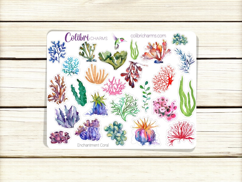 May include: A sheet of stickers featuring watercolor illustrations of various types of coral and seaweed. The stickers are on a white background and have a light blue border. The text "Colibri CHARMS" and "colibricharms.com" is printed at the top of the sheet. The text "Enchantment Coral" is printed at the bottom of the sheet.