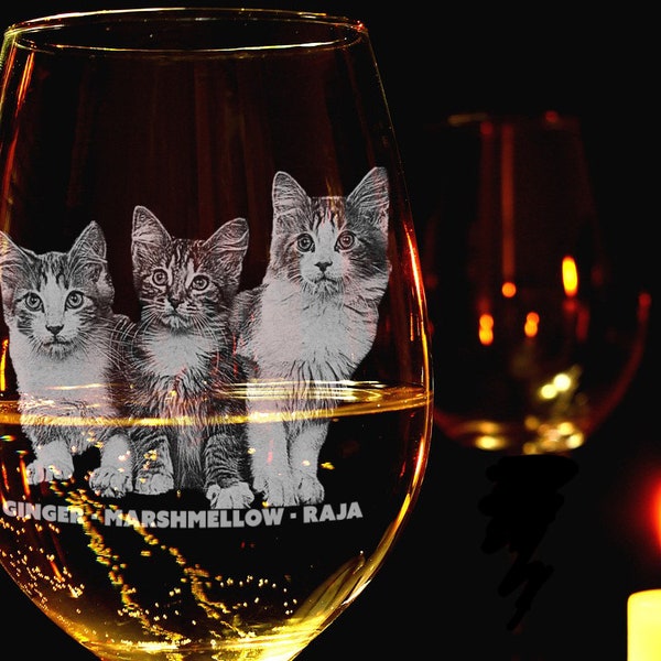 Custom Wine Glasses /Pet Lover Gifts / Cat Lover Gifts / Custom Photo Gifts / Gifts for Cat Lovers / Animal Lovers / Gifts for Pet Lovers/