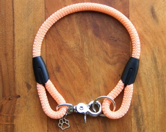 Peach Dog Collar for small and big dogs /dog collar /collar