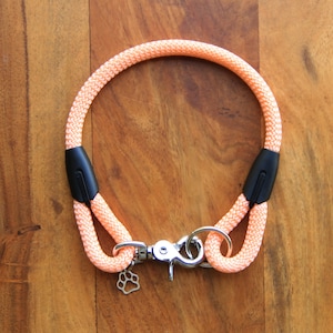 Collar para perros Peach para perros pequeños y grandes / collar para perros / collar