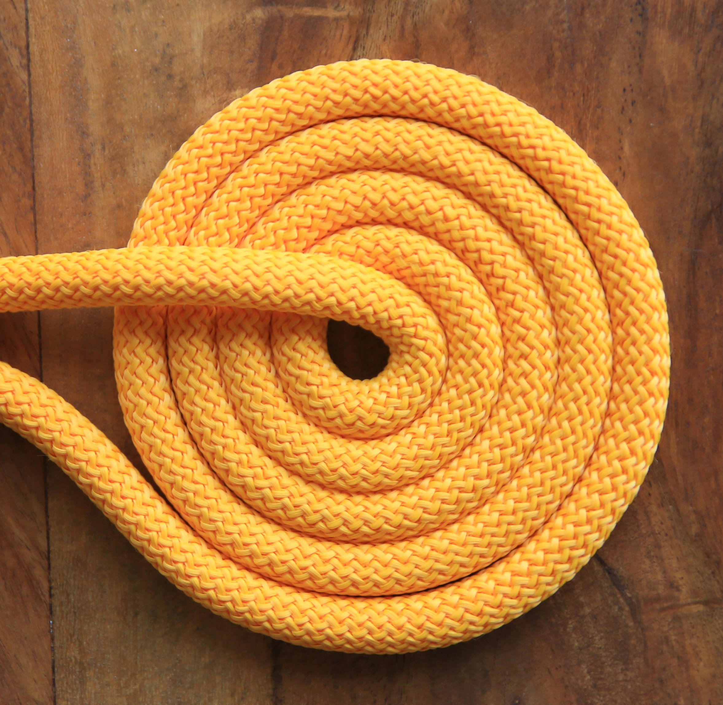 Dark Yellow Dog Leash for Small and Big Dogs/dog Leads/dog Etsy