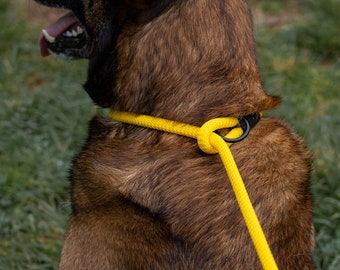 May include: A brown and black dog wearing a yellow rope leash. The dog is sitting on green grass.