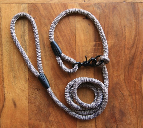 grey dog leash