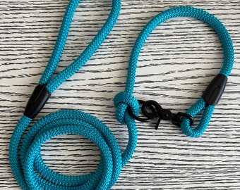 Turquoise Dog Leash for small and big dogs/dog leads/dog leash/leash