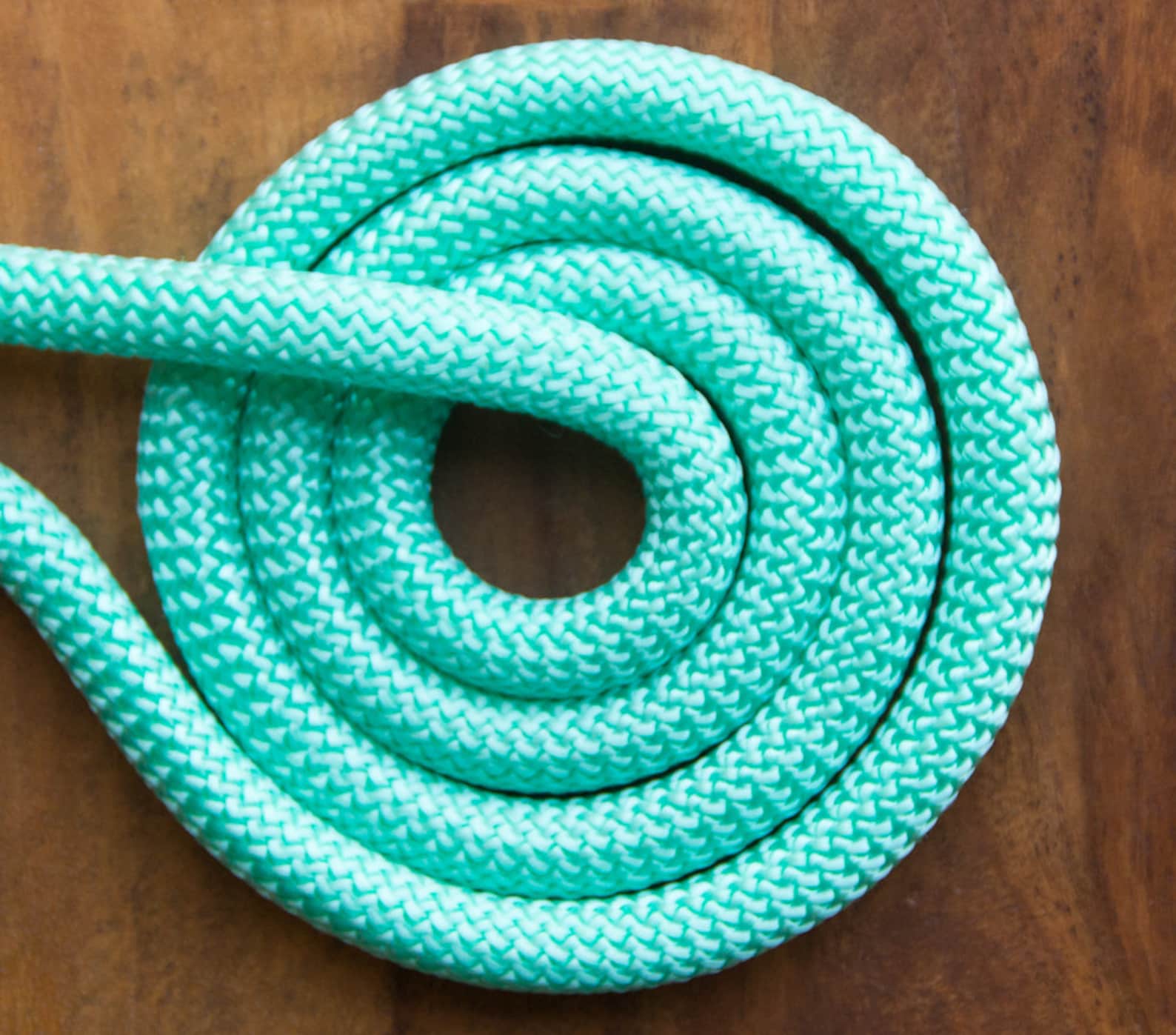 Mint Dog Leash for Small and Big Dogs/dog Leads/dog Etsy