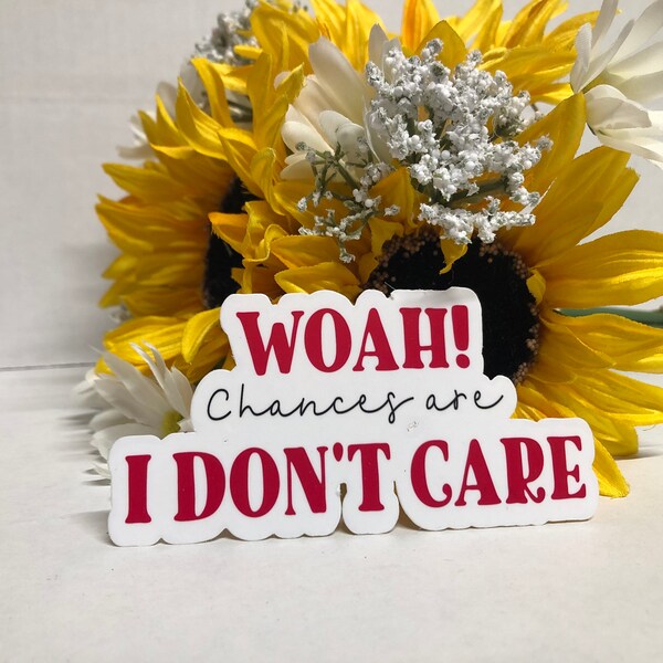 Woah! Chances Are I Don't Care Frosted Clear Vinyl Sticker, sticker for Journal, Diary, Calendar, sarcastic, antisocial, sassy decal, funny
