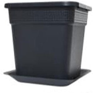 May include: A dark gray square plastic planter with a matching saucer. The planter has a textured band near the top and a simple, modern design. Ideal for indoor or outdoor use, it is suitable for various plants.