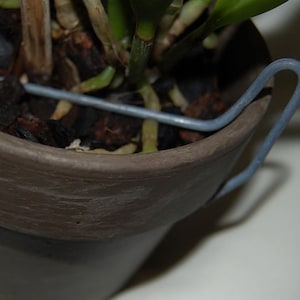 May include: A close-up of a brown ceramic flower pot with a grey wire handle. The pot contains soil, roots, and green plant stems. The wire handle is bent into a U-shape, providing support for the plant.