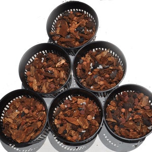 Pot Me Up Bundle, All Genera Orchid Media. Pots, stem clips, labels, and stakes