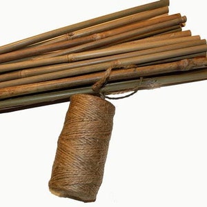 Stakes, Natural Bamboo,  12 , 24,  or 34 inches, Bundle of 25, with 100 foot roll of Twine