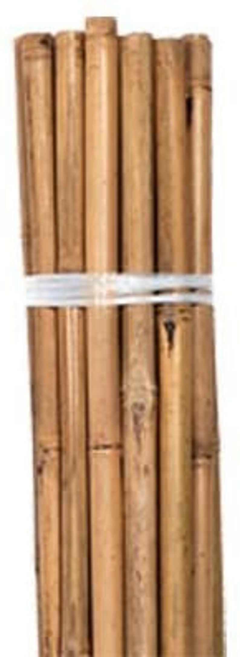 Bundle of 25 12 24 Natural Bamboo or 36 inches Stakes with 150 feet of 12 Inch vinyl stretch tape