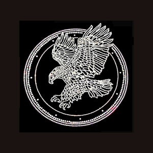 Eagle Rhinestone Transfer Bling Hot Fix Iron on Patch Motif Design Transfer TT-651