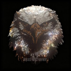 May include: A wall art piece featuring a stylized eagle head composed of numerous small, reflective, light-catching crystals in shades of white, silver, and gold against a black background, with the text Next Clover printed at the bottom.