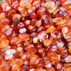Puede incluir: Un puñado de piedras preciosas de cornalina pulidas en tonos naranja, rojo y ámbar. Las piedras son pequeñas, pulidas y tienen un acabado brillante. El fondo es un follaje verde borroso.