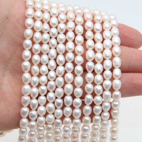 5 ~ 6mm Reis Süßwasserperlen Perlen, natürliche weiße Reis Perle Beads.Seed lose Perle voller Strang Perlen, ovale Form Perle Perlen, Großhandel Perlen.