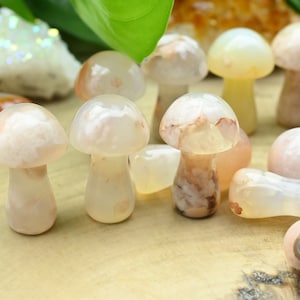 Cherry Blossom Agate Mooshroom,Hand Carved Mushroom,Reiki Healing Crystal,Mini Mooshroom Decor,Home Decor,For Her Gift,Gift Mystery Bag.