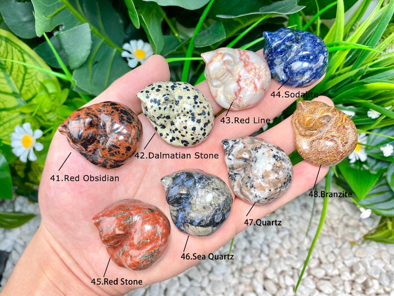 May include: A collection of ten sleeping cat figurines carved from different types of stones, including red obsidian, dalmatian stone, red line, sodalite, branzite, sea quartz, and quartz. Each figurine is unique in color and pattern.