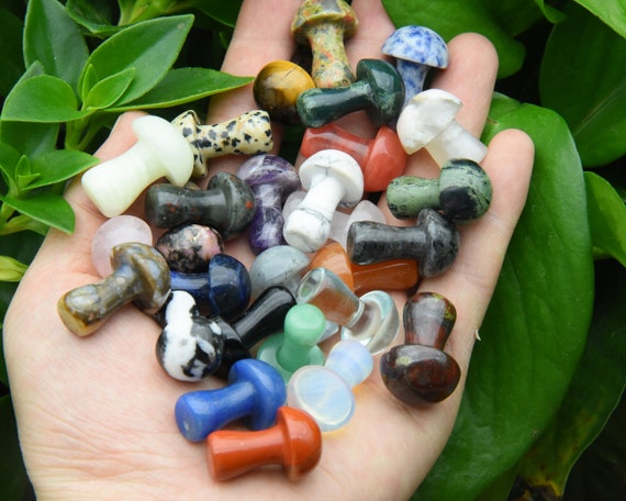37 Kinds Of 1 Inch Mushroom Gemstone Decor,Crystal/Rose Quartz/Lapis Lazuli/Opal/Amethyst Mushroom Home Decor,For Her Gift/Best Friend Gift.