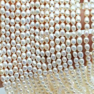 4x6MM Pearl Rice Beads,White Pearl,Freshwater Pearl Beads,Luster Loose Pearl,Pearl Strand,Seed Pearl,Natural Pearl,For Jewelry Pearl Beads.