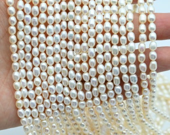 4x6MM Pearl Rice Beads,White Pearl,Freshwater Pearl Beads,Luster Loose Pearl,Pearl Strand,Seed Pearl,Natural Pearl,For Jewelry Pearl Beads.