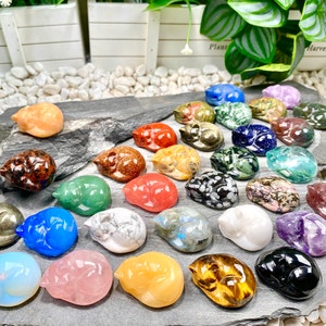 May include: A collection of 25 sleeping cat figurines carved from various types of polished stones, including amethyst, tiger's eye, rose quartz, and obsidian.