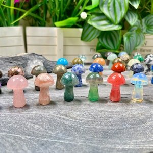 1 Inch Real Crystal Mushroom Carving Decor,Mini Crystal Mushroom,Carved Gemstone Mushroom,Home Decor,Crystal Gift.Healing Crystal Decor.
