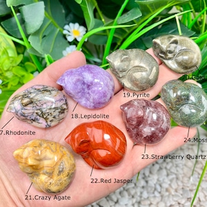 May include: A collection of 10 small, carved sleeping cat figurines made from various types of polished stones, including rhodonite, lepidolite, pyrite, gold obsidian, moss agate, strawberry quartz, crazy agate, and red jasper. Each figurine is labeled with its corresponding stone type.