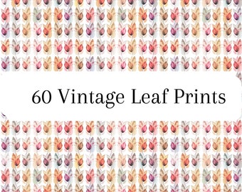 60 Vintage Leaf Prints,  Wall Art Digital Papers, Scrapbook Papers, Wrapping Paper, Posters, Abstract Home Decor