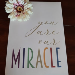 May include: A white card with the text "you are our MIRACLE" in gold lettering. The word "MIRACLE" is in rainbow colors. A white flower with a pink center is in the top left corner of the card.