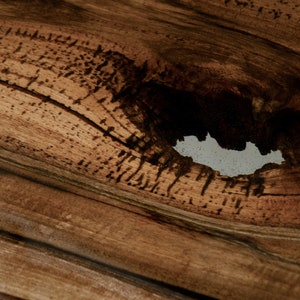K&ouml;nnte beinhalten: Nahaufnahme eines Holzabschnitts mit einem nat&uuml;rlichen Ast und Maserungsmustern. Das Holz hat eine warme, braune Farbe mit dunkleren Streifen und einem helleren Bereich, in dem sich der Ast befindet. Das Holz scheint ein festes, nat&uuml;rliches Material zu sein.