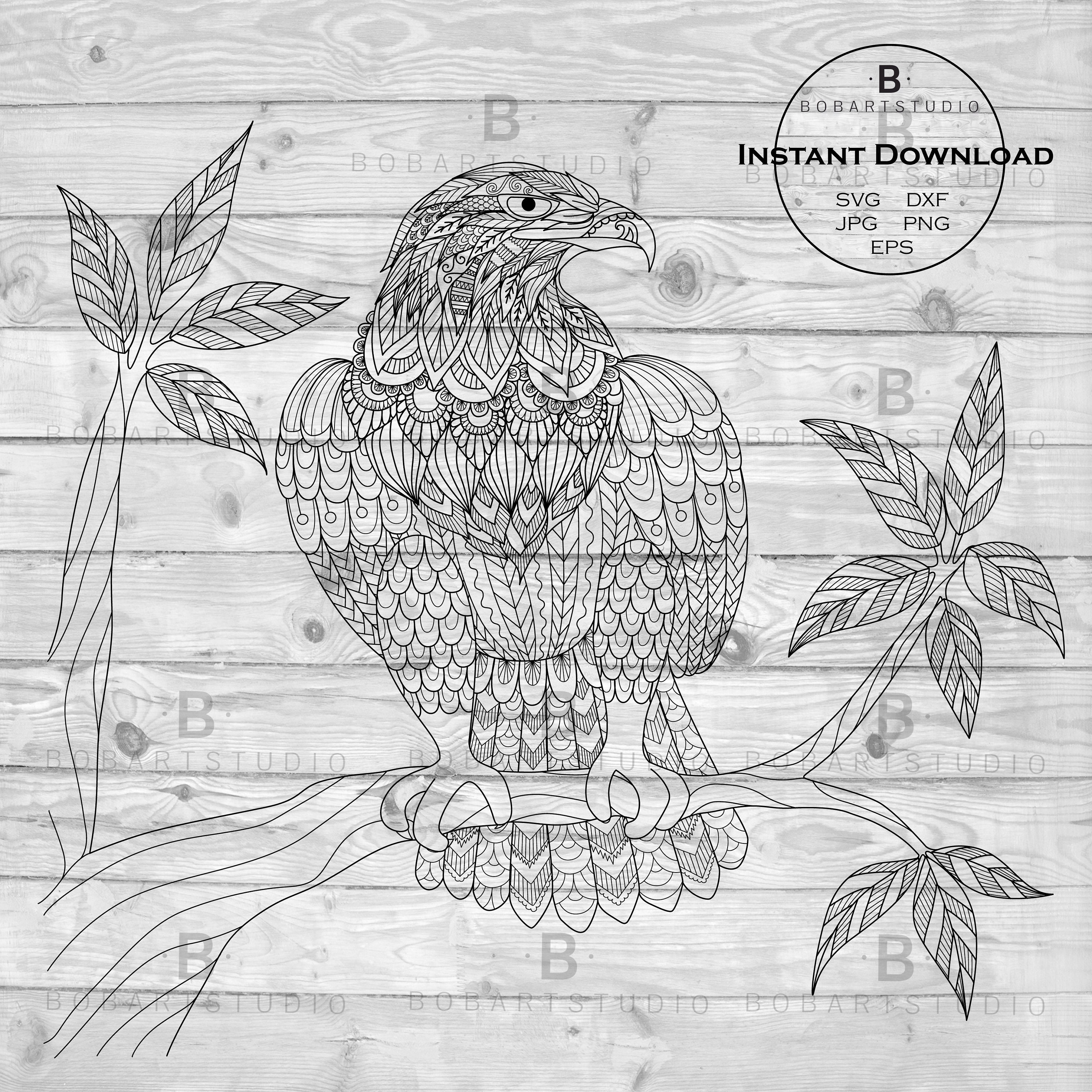 zentangle eagle eagle mandala