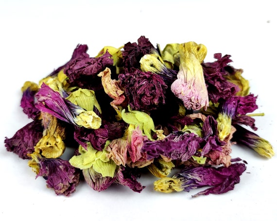 Fleur de mauve violette séchée décor de gâteau Garnitures - Etsy France