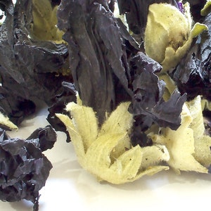 Fleur de mauve noire entière séchée, décoration de gâteau confettis de rose trémière