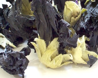 Dried Whole Black Mallow Flower, Cake Decor Craft Garnishes Hollyhock Confetti