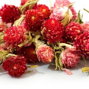 50g Red Gomphrena, Gomphrena Globosa, Dried Flowers, Globe Amaranth, Tea Making, Soap Bath Bomb Craft Supplies, Wedding Confetti, Decoration