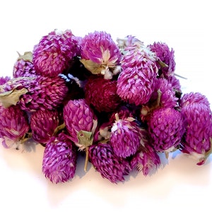 50 g de gomphrena rose séchée, de fleurs de gomphrena globa, de décorations artisanales pour gâteaux pour la préparation du thé