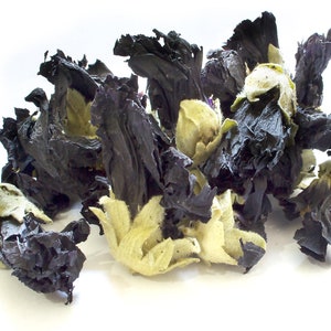 Dried Whole Black Mallow Flower -  For Soap Decoration Resin Jewellery Craft Supplies Wedding Confetti Coctail Garnish Candle Hollyhock