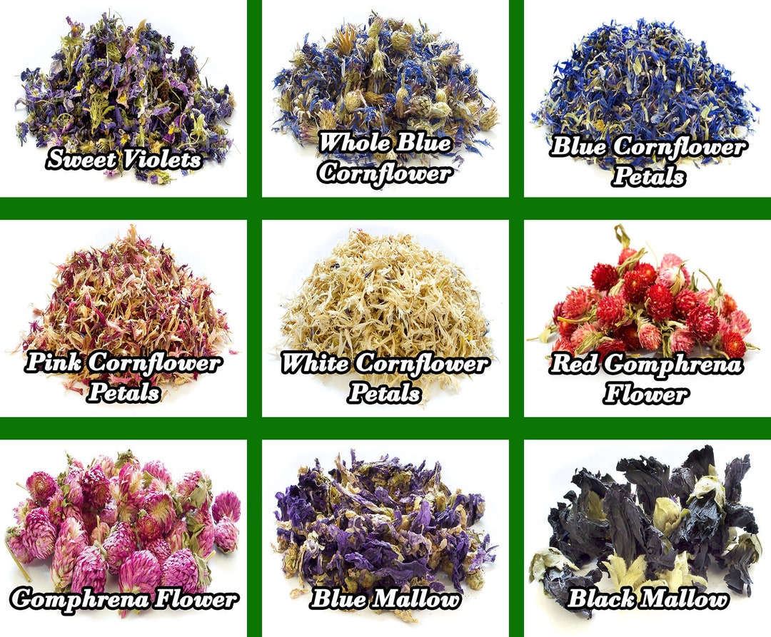 Dried Flowers vs Fresh Flowers: What are the Differences & Which is Better?  – East Olivia