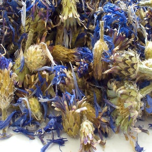 Fleur de bleuet bleu entière séchée, décoration de gâteau pour décoration artisanale