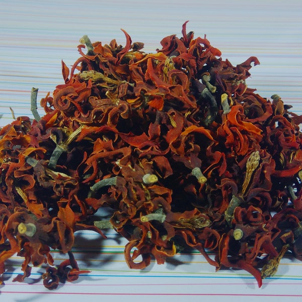 Magnolia Dried Flowers Etsy