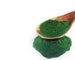 SPIRULINA Powder Natural 25-100g !!!Best Price!!! Arthrospira Platensis